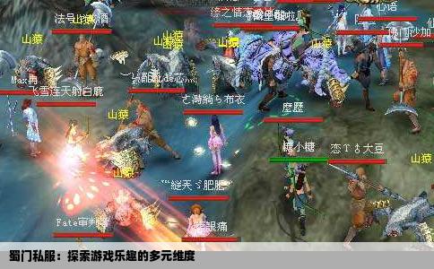 蜀门私服：探索游戏乐趣的多元维度