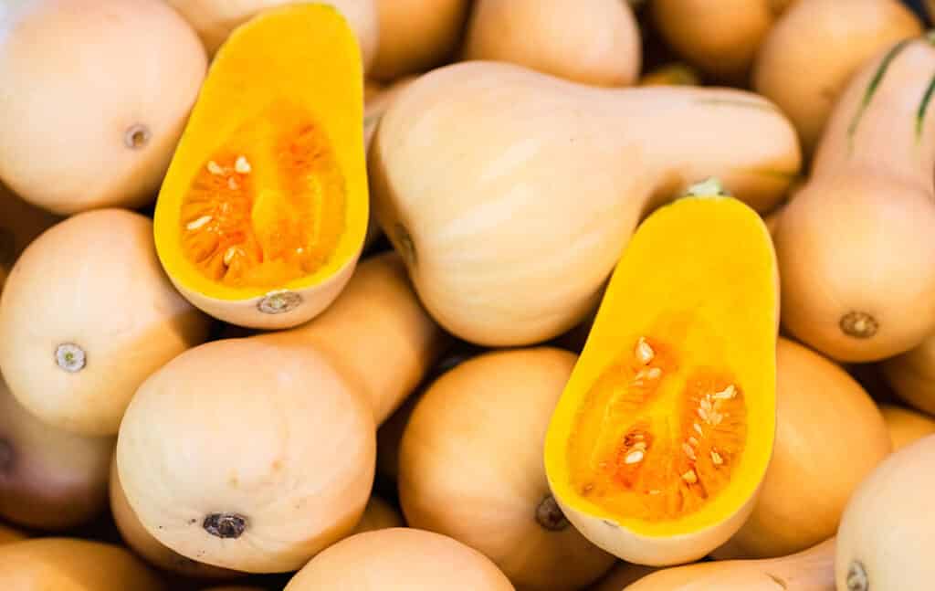 蜜坚果南瓜（Honeynut Squash）