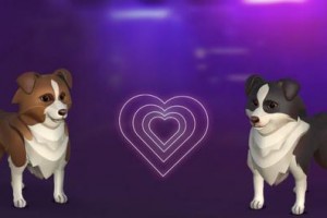 《宠物狗养成之路游戏攻略》（玩转宠物狗养成游戏，让你的狗狗成为最强战斗伙伴！） - 游戏分类 - 游戏攻略宝典