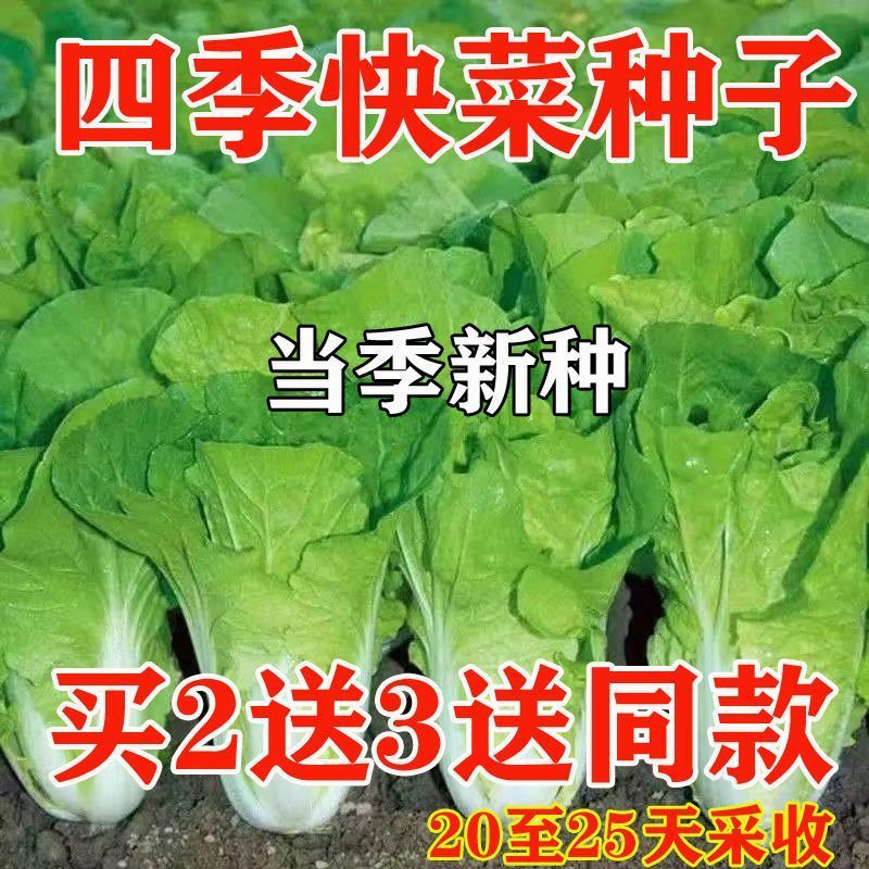 魔域新区魔石攻略：100=3100魔石，绿色游戏交易新体验！