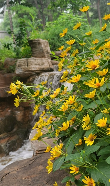 🌳 周末City Walk | 西山国家森林公园全攻略,轻松玩转! 🌳-4-打卡分享-SPA点评网