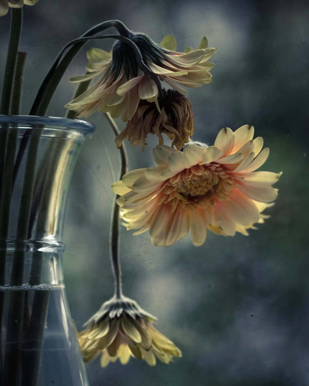 All'ingresso del castello nelle stanze dei cassetti... - Pagina 28 Tumblr47