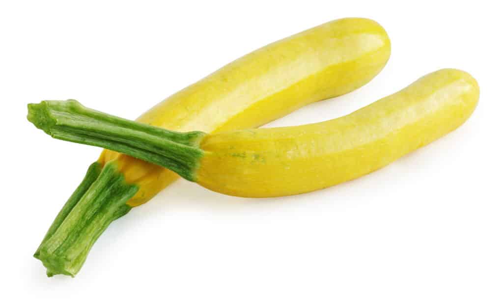 Gold Rush 南瓜（Gold Rush Squash）