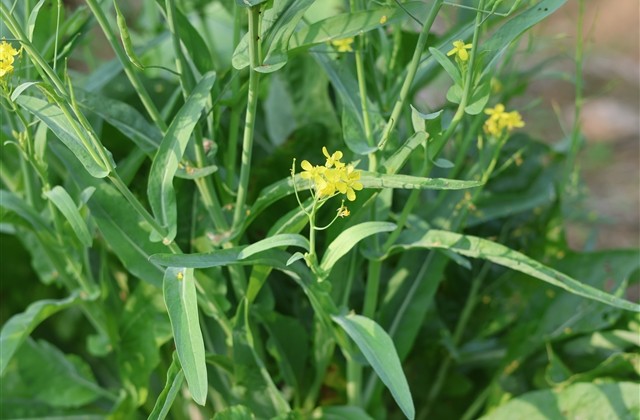 魔域好听的游戏名字(共90个)