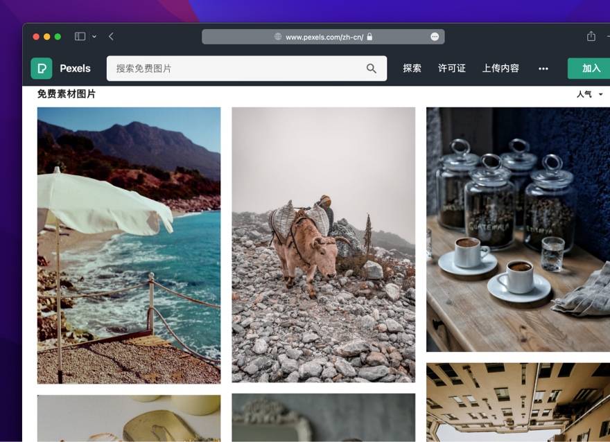 pexels 丰富的照片