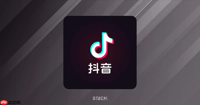 抖音网页版登录地址_抖音网页版入口官方指南