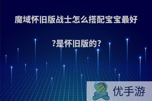 魔域怀旧版战士怎么搭配宝宝最好?是怀旧版的?