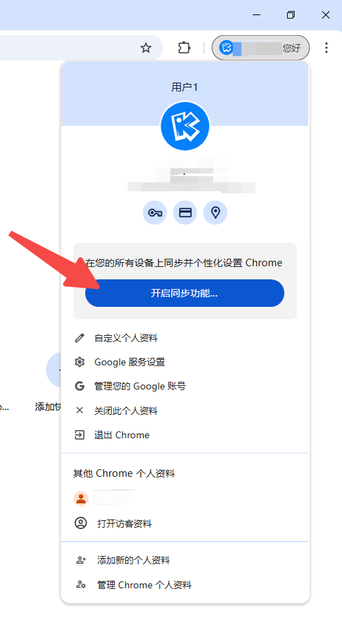 如何在Chrome浏览器中管理自动填充的地址信息7