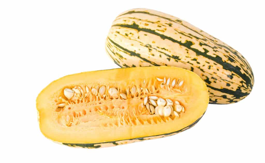 斑纹南瓜（Delicata squash）