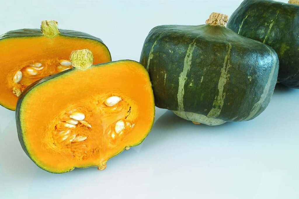 波本南瓜（Bonbon Squash）