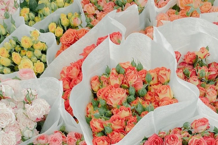 TBJ Chinese: 走！去逛北京城区最大花市！(Let's go Flower Shopping!)