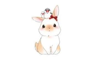 魔域异能者,魔域的异能者的主要技能是什么..