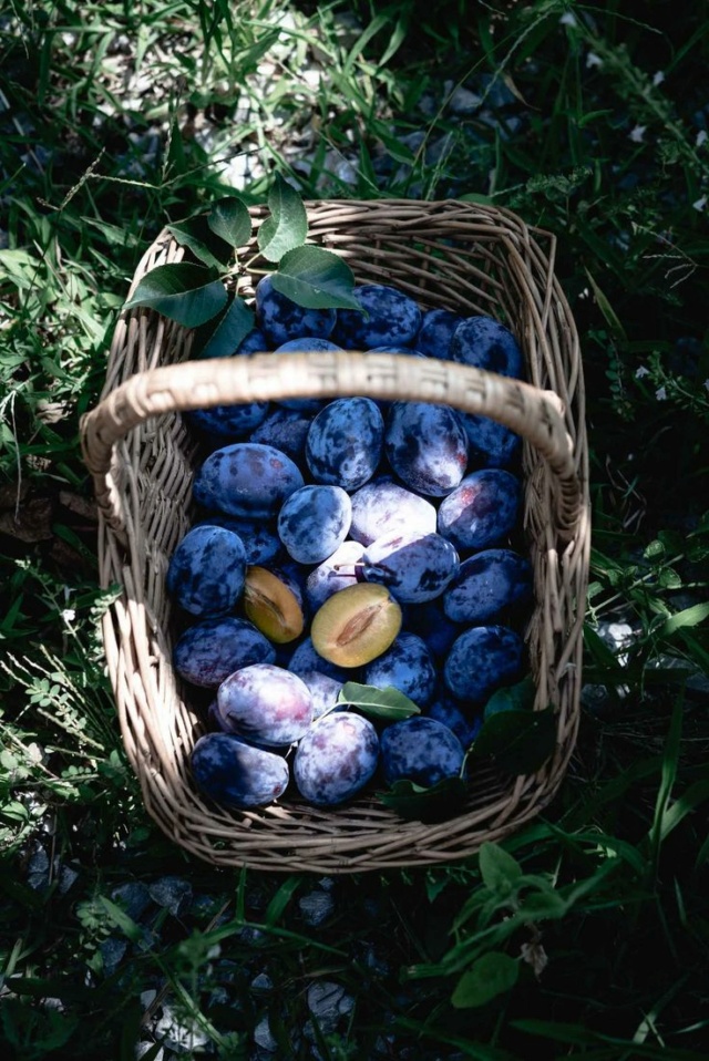 All'ingresso del castello nelle stanze dei cassetti... - Pagina 20 Ed10