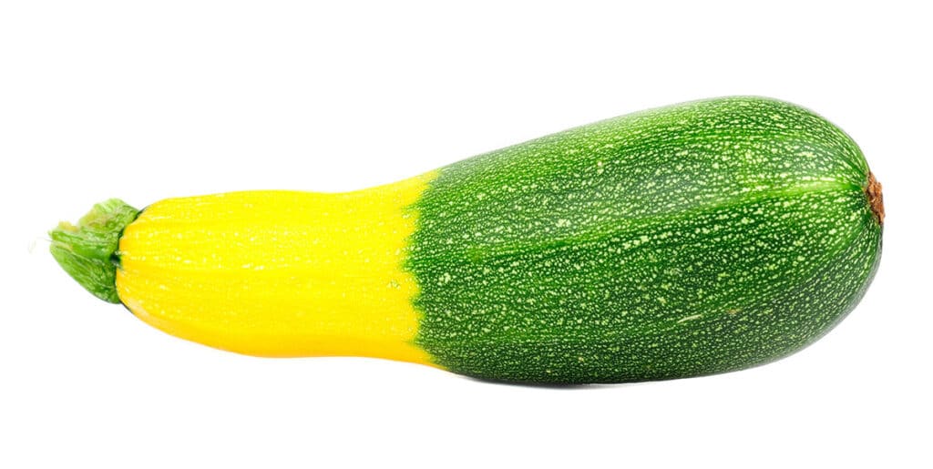 Zephyr 南瓜（Zephyr Squash）