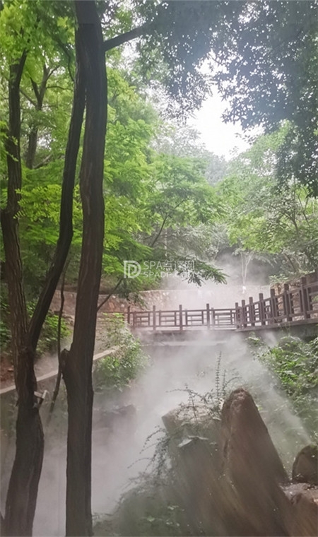 🌳 周末City Walk | 西山国家森林公园全攻略,轻松玩转! 🌳-3-打卡分享-SPA点评网