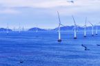 福清三山镇龙高半岛：风车转 绿能生 “风”景如画