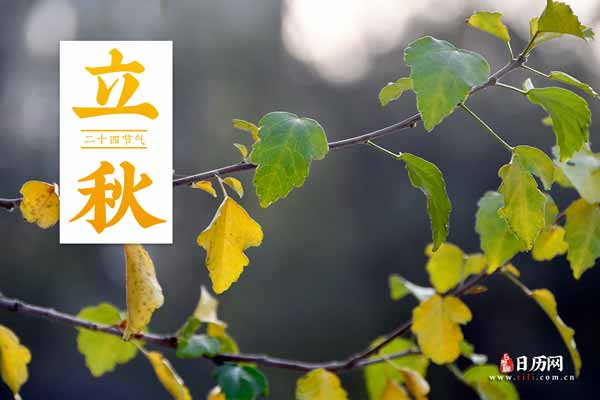 立秋文字版